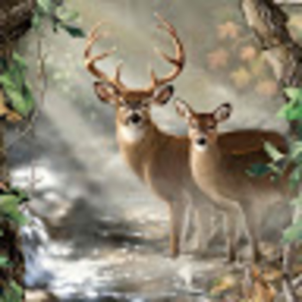 Meet your Posher, Flora